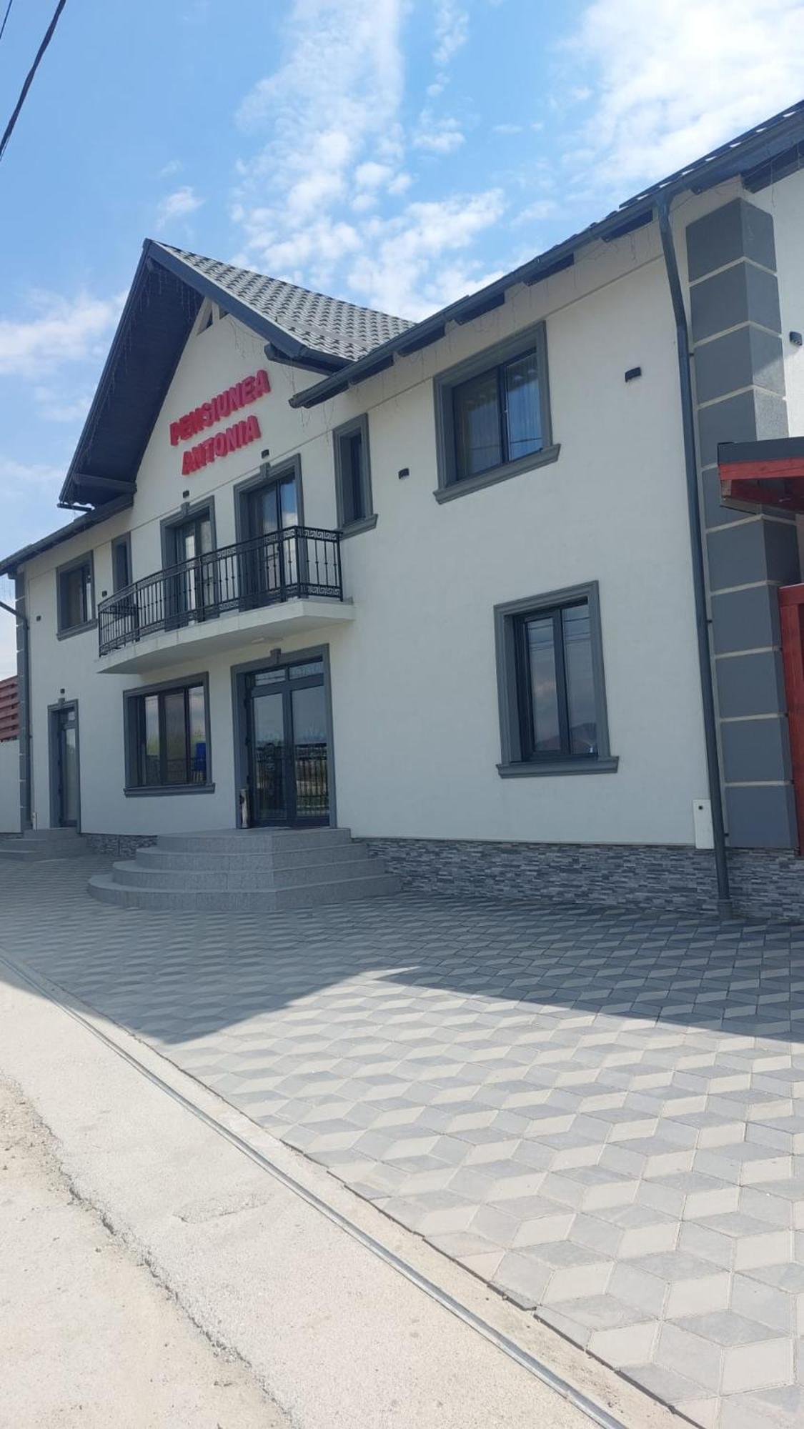 Pensiunea Antonia Máramarossziget Kültér fotó
