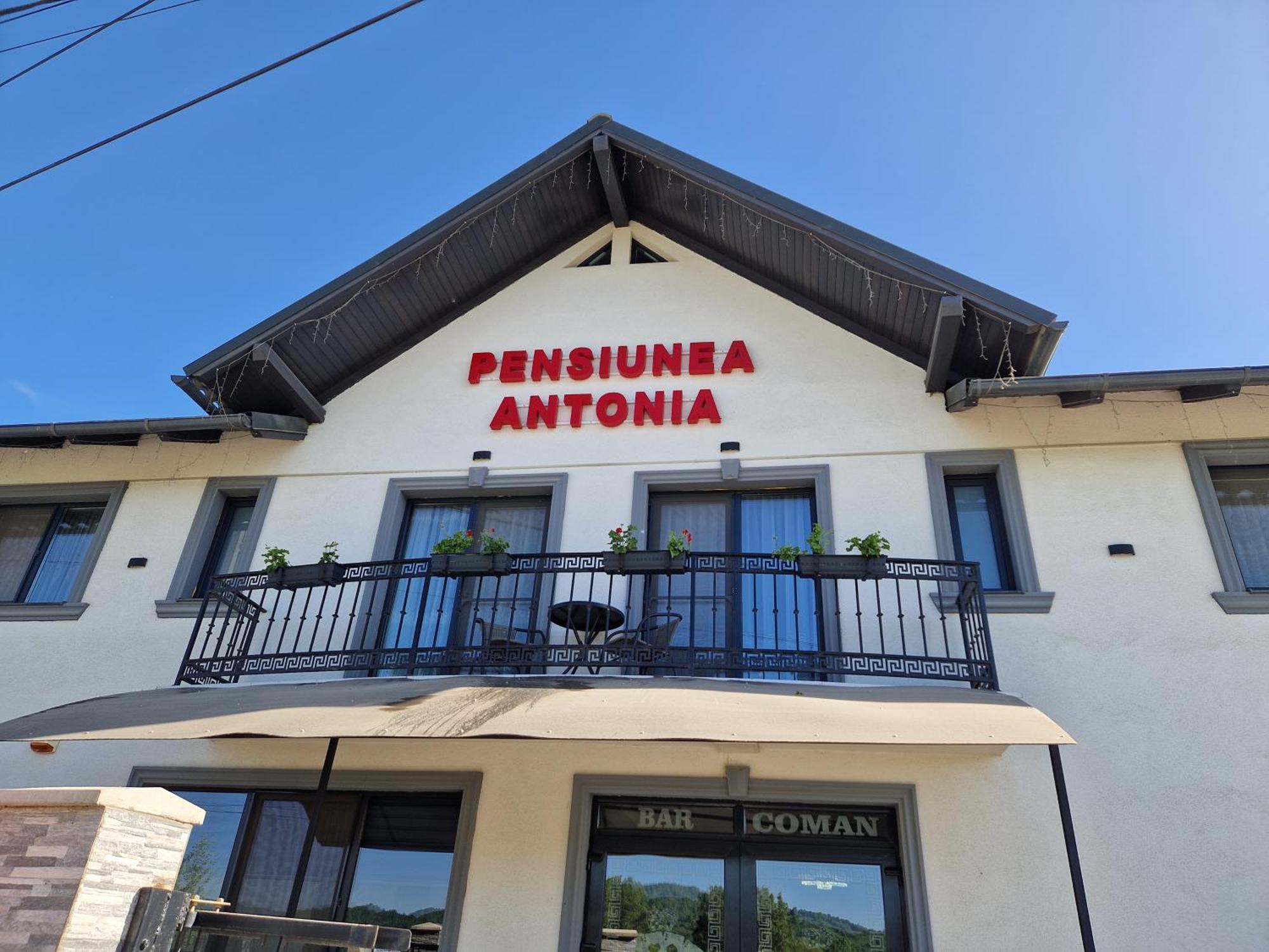 Pensiunea Antonia Máramarossziget Szoba fotó