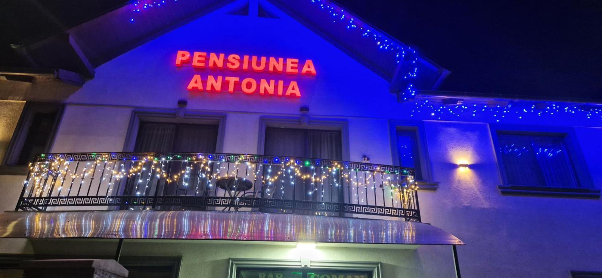 Pensiunea Antonia Máramarossziget Kültér fotó